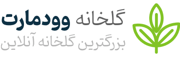 آذوکا